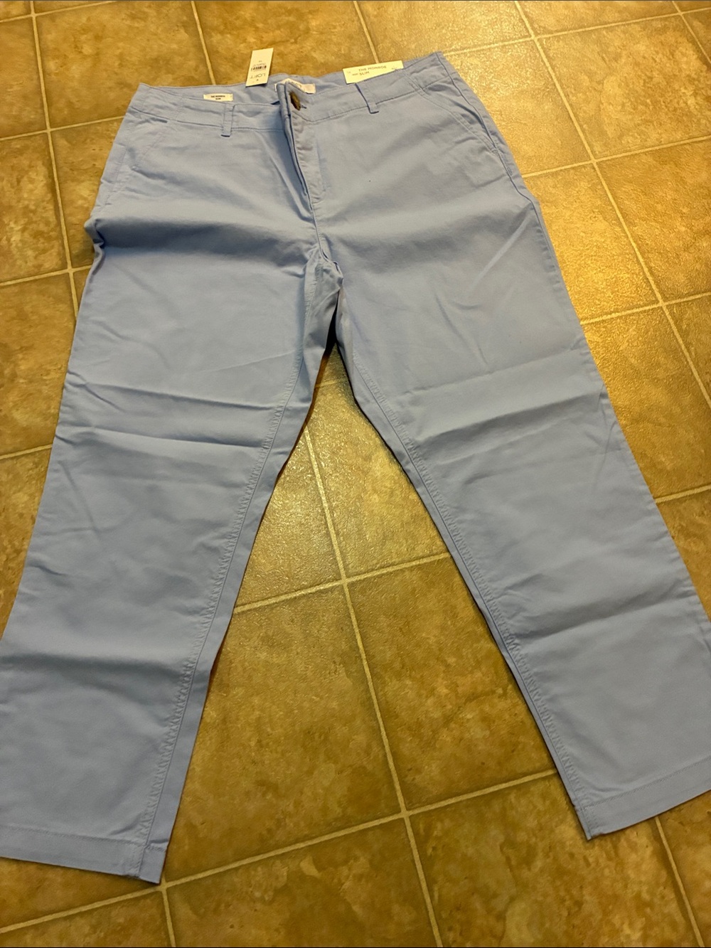 LOFT Light Blue Women's The Monroe Slim